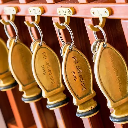 酒店 Sulzberger Hof 3*